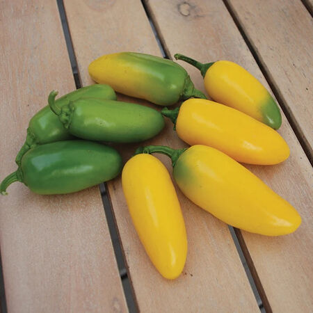 Lemon Spice, Pepper Seeds - Packet image number null